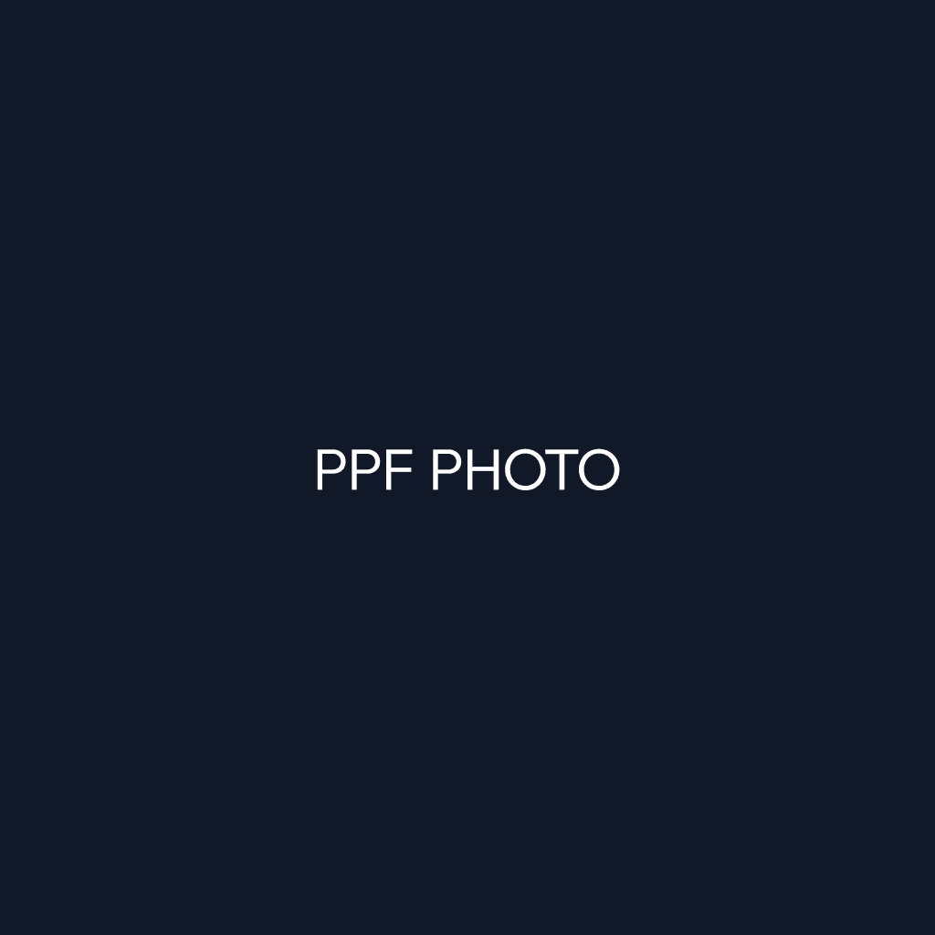 제네시스 G80 마티라 블루, 퀀텀팩토리에서 PPF 시공 후기